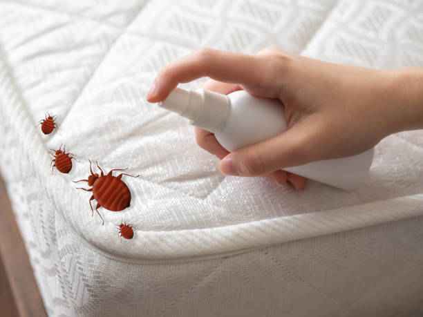 Reliable Corning, IA Pest Control Solutions